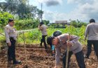 Ketahanan Pangan, Polres Ciamis Ikut Tanam Jagung Bareng Poktan Bungur Desa Panyingkiran