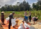 Ketahanan Pangan, Polsek Rajadesa Polres Ciamis Panen Jagung Bersama Poktan Laksana Jaya
