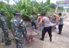 Polsek Lakbok dan TNI Wujudkan Sinergitas dalam Program TMMD di Desa Sukamulya, Dorong Pembangunan dan Ketahanan Sosial Masyarakat