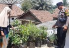 Polsek Kawali Dukung Program ASTA CITA Bidang Ketahanan Pangan Lewat Pendekatan Humanis Bhabinkamtibmas di Desa Lumbung