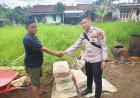 Polsek Rajadesa Polres Ciamis Serahkan Sarana Kontak untuk Dukung Pembangunan Lapang Voli di Desa Sirnajaya