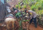 Polsek Kawali Sigap Tangani Dampak Tanah Longsor di Desa Sindangsari, Wujud Kepedulian Polri terhadap Keselamatan Warga