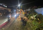 Polsek Ciamis Gerak Cepat Tangani Pohon Tumbang di Jalan R.E. Martadinata, Pastikan Arus Lalu Lintas Kembali Lancar
