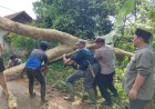 Polri Siaga Bencana, Polsek Kawali Polres Ciamis Bantu Evakuasi Pohon Tumbang ke Rumah Warga