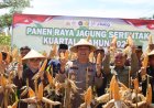 Polres Ciamis Dukung Ketahanan Pangan Nasional, Pimpin Panen Raya Jagung Serentak Kuartal I 2026 di Baregbeg