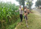 Ketahanan Pangan, Polsek Cikoneng Polres Ciamis Pantau Pertanian Jagung Warga Sukamanah