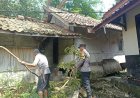 Polsek Kawali Tanggap Bencana Pohon Tumbang, Polri Hadir Beri Perlindungan dan Rasa Aman bagi Warga Desa Darmaraja