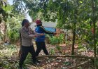 Personel Polsek Cikoneng Datangi TKP Bencana Pohon Tumbang di Dusun Sorok Darmacaang