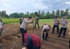 Polsek Ciamis Dukung Program Swasembada Pangan Melalui Penanaman Jagung Serentak 750 Hektar di Desa Imbanagara