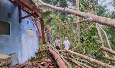 Polri Siaga Bencana, Polsek Sukadana Polres Ciamis Datangi TKP Bencana Pohon Tumbang di Salakaria